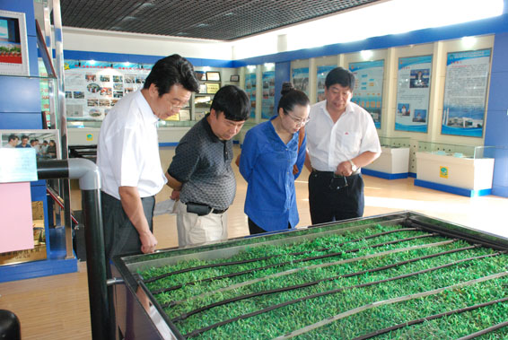 bevictor伟德官网 - 韦德官方网站