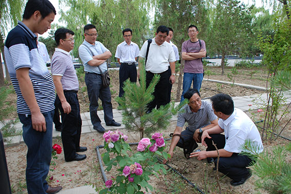 bevictor伟德官网 - 韦德官方网站